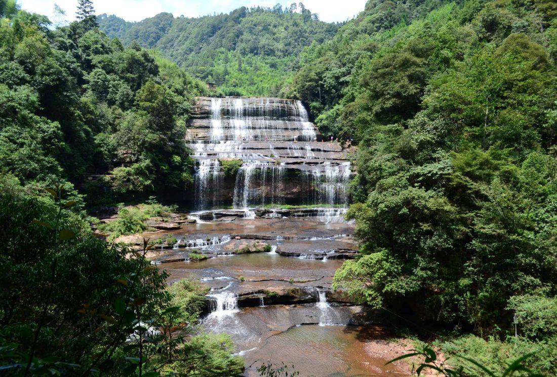 黄荆老林