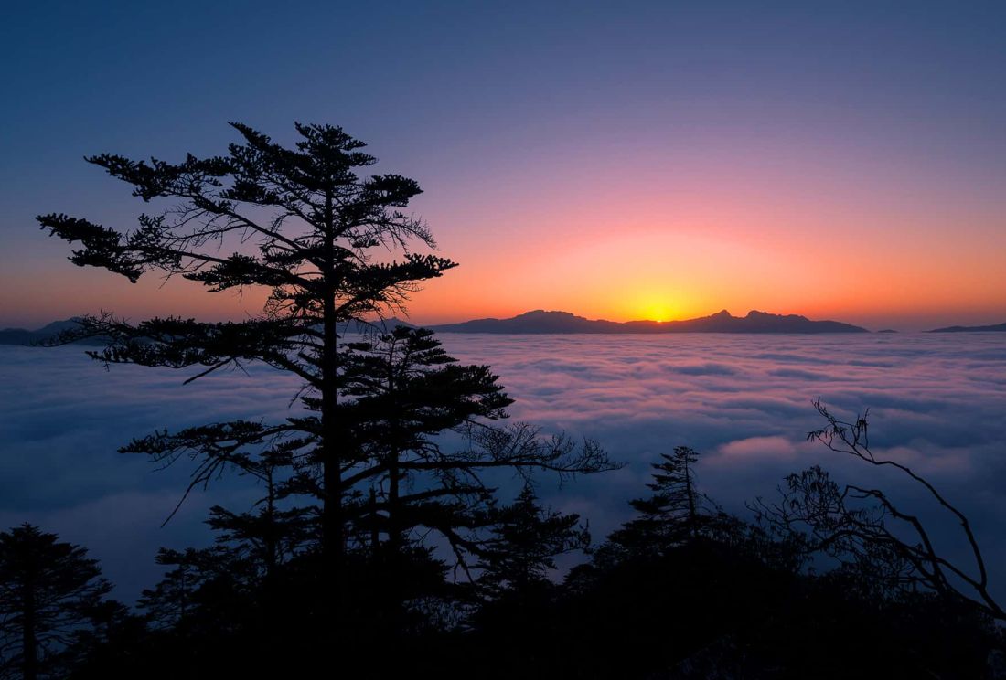 二郎山喇叭河旅游景区